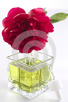 Peony - essential oil and perfume