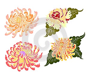 Peony flower for printing on shirt.Floral for doodle art and coloring book on white isolated background.