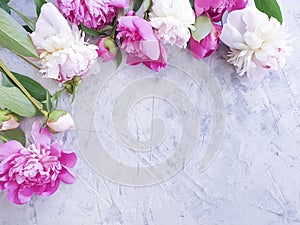 Peony flower romance summe texture rvintage on gray concrete background frame