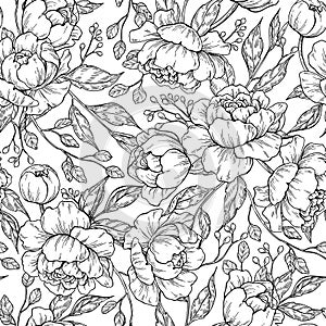 Peony flower seamless pattern drawing. Vector hand drawn engrave