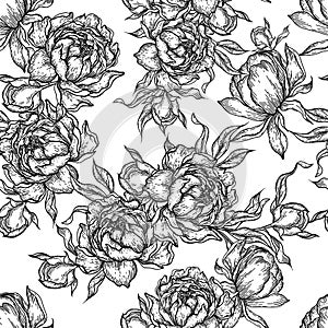 Peony flower seamless pattern drawing.