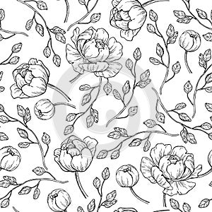 Peony flower seamless pattern drawing. Vector hand drawn engrave