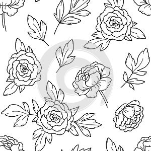 Peony flower seamless pattern drawing. Vector hand drawn floral background with botanical rose, peony and leaves