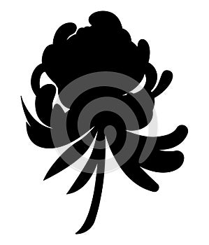 Peony flower silhouette, blossom, and nature for design