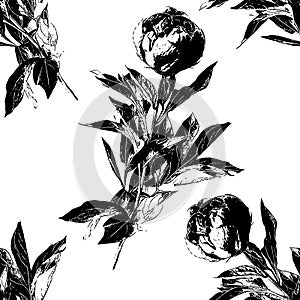 Peony flower silhouette seamless pattern