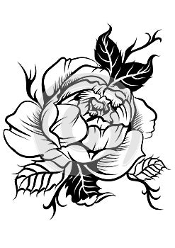 peony flower in tatto style