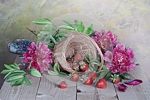 Large pink peonies, red berries scattered from the basket on a colorful background