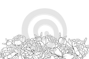 Peony flowers black white bottom border frame