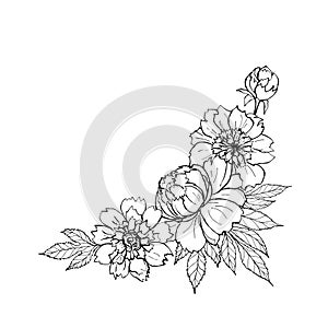 Peony flowers bouquet frame template. Corner frame vector illustration.