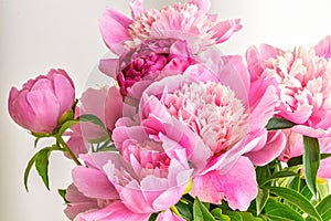 Peony flowers bouquet. Springtime fresh natural composition