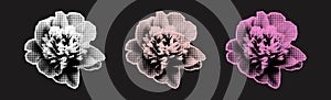 Peony flowers halftone collage elements vector illustration