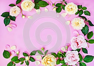 Peony flowers and petals in composition, floral frame on a pink background