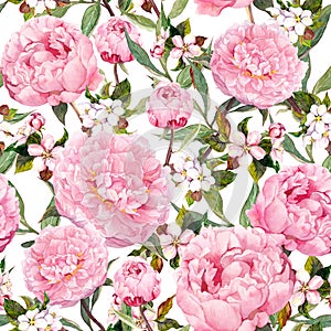 Peony flowers, sakura. Floral seamless background. Watercolor