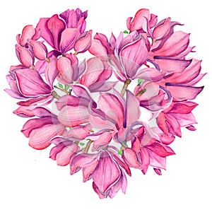 Peony heart. Wedding watercolor flowers. Pink magnolia. Isolated on a white background