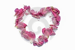 Peony petals laid out in the shape of a heart. Valentine`s day concept