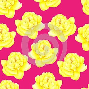 Peony on pink background. Seamless pattern. Watercolor painting of Beautiful flowers. Floral illustration. Romantic