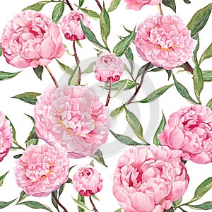 Peony pink flowers. Floral seamless pattern. Watercolor