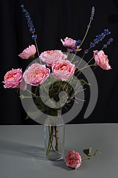 Peony pink roses in a glass vase on a dark background