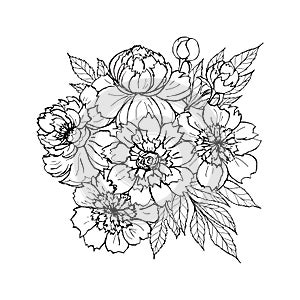 Peony rose flowers bouquet composition, outline realistic sketch drawing.