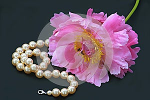 Peony rose and pearl necklace