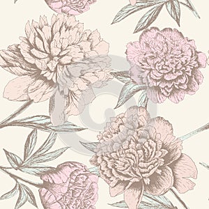 Peony sketch pattern