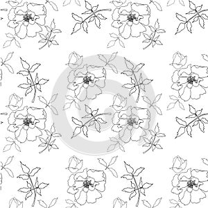 Peony tree flower seamless pattern. Hand drawn doodle background. Flower black thin outline design