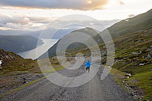 People, adult with kids and pet dog, hiking mount Hoven, enjoying the splendid view over Nordfjord from Loen skylift