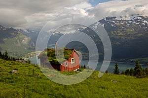 People, adult with kids and pet dog, hiking mount Hoven, enjoying the splendid view over Nordfjord from Loen skylift