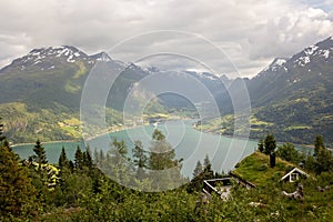 People, adult with kids and pet dog, hiking mount Hoven, enjoying the splendid view over Nordfjord from Loen skylift