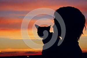 People, animals, pets, childhood concept. Silhouette of an owner and pet. Silhouette of young girl holding a cat, cropped shot.