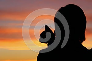 People, animals, pets, childhood concept. Silhouette of an owner and pet. Silhouette of young girl holding a cat, cropped shot.