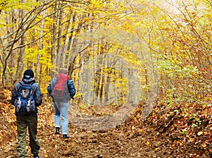 People in autumnal forest