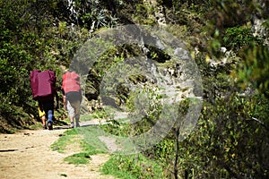 People with backpacks hiking the Inca trail to Machu Picchu