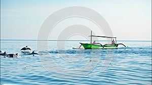 People on a boat sail behind the Stenellalongirostris family of dolphins that jump out of the water in the open, clear sea