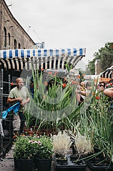 People buying plants and flowers at the Columbia Road Flower Market, London, UK.