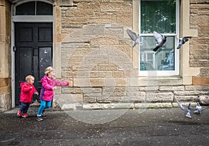 Children chasing pigeons