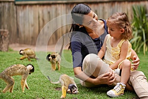 People, child and monkey in nature outdoor at sanctuary or rehabilitation at zoo or animal interaction, environment or