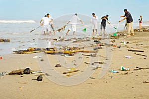 People cleaning polluted beach. Bali