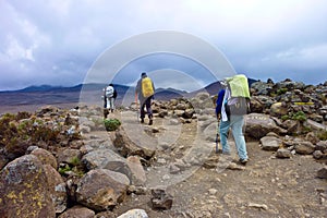 People climbing the Mount Kilimanjaro