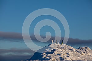 Lidé lezení na vrchol zasněžených hor vrchol