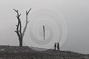 People collecting dry wood for fire at Basohli, on a cold foggy winter day