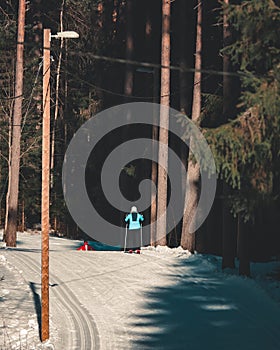 People cross-country skiing in outdoor park skitrack.