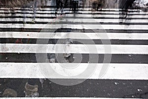 People crossing a road