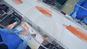 People cutting fish fillet at a factory, top view.