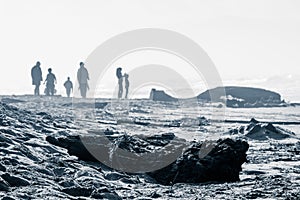 People on desolate windy beach