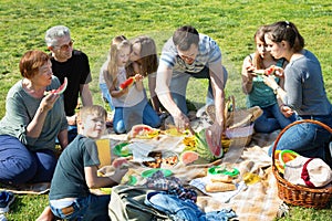 People of different ages sitting and talking on picnic