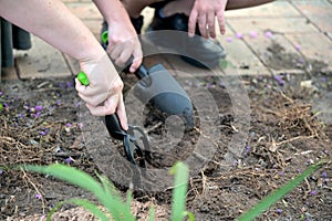 People digging a hole in the ground to plant an new tree in the garden on Tu Bishvat Jewish holiday