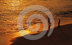 People and dog on the beach