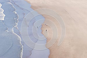 People with dog walking on the sandy beach on windy wavy day on