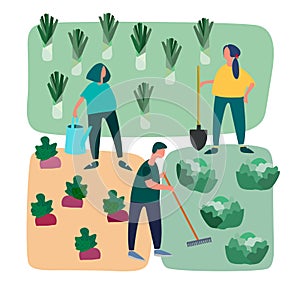 People doing agricultural works on vegetable patch. Vector flat illustration. Gardening concept. Agritourism concept